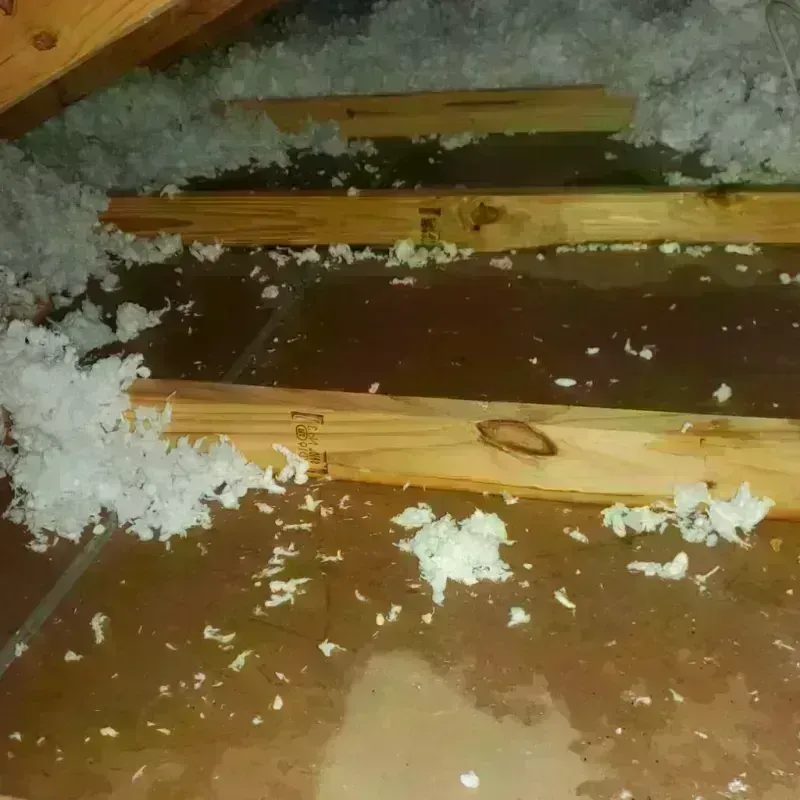 Attic Water Damage in Berkeley, CA