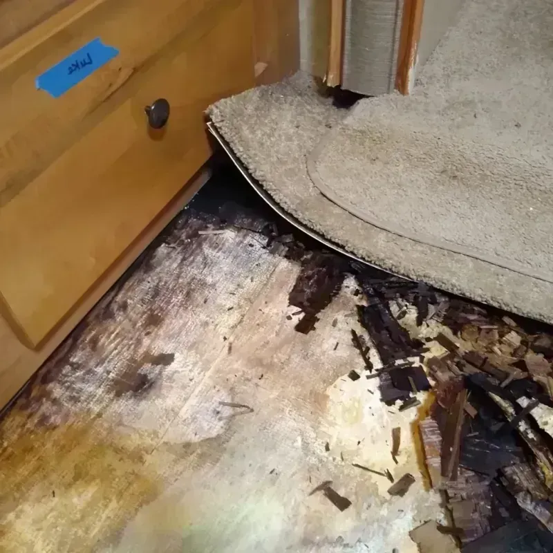 Wood Floor Water Damage in Berkeley, CA